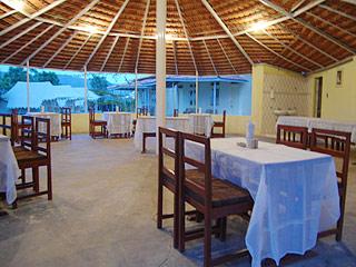 Jungle View Resort